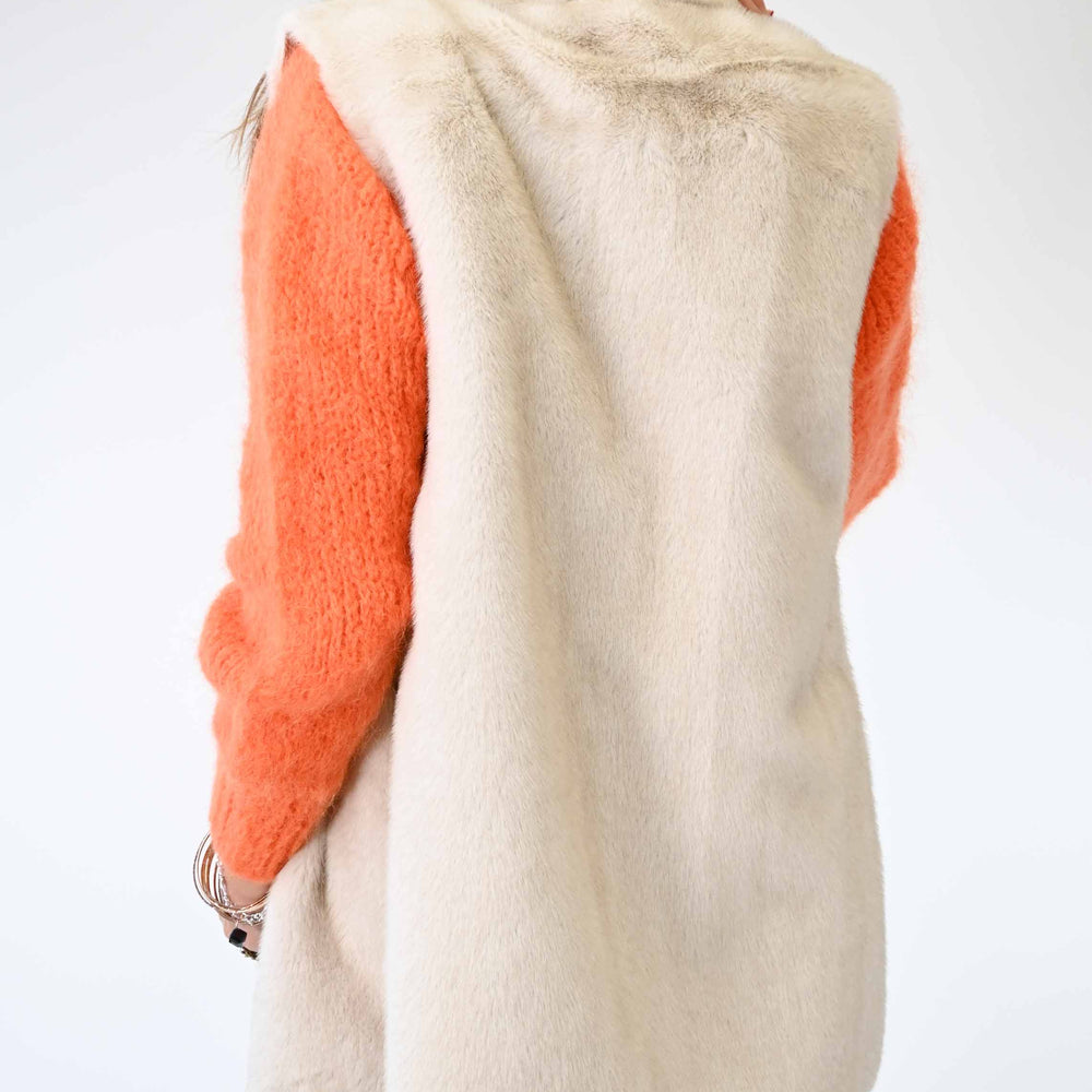 
                  
                    GILET IN ECOPELLICCIA COLLO CRATERE COLOR PANNA
                  
                